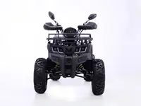Квадроцикл yacota warrior 200, фотография 2