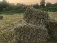 продам сено, фотография 2