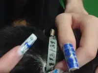 Нашли котенка, фотография 3