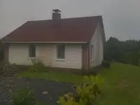 сдам
