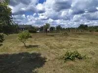 Дом с приусадебным участком в д. Солон Стародорожский район, фотография 11