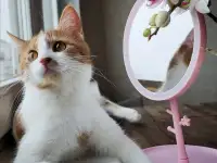 Яринка в дар, фотография 2