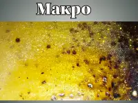 Мыло ручной работы с облепихой, фотография 2