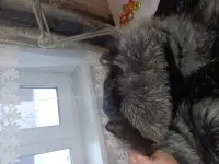 Пальто зимнее, фотография 5