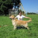Услуги хендлера, фотография 3