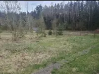 Участок в садовом товариществе Зодиак-Ворот, фотография 8