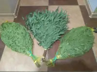 эвкалиптовые веники для сауны