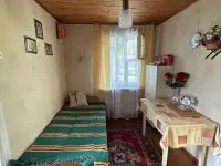 Продажа, обл Червенский р-н с/т Ёлочка, фотография 5