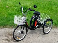Электровелосипед AVM E-ALFA TRIKE 24, фотография 3
