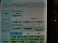 Подготовка к ЦЭ: качество и высокий результат, фотография 12