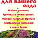 Семена овощей и цветов, саженцы в Минске