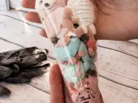 Изготовление фигурного маршмеллоу, фотография 9