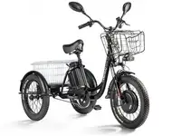 Трицикл eltreco porter fat 500 up!