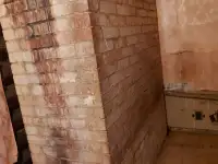 Дом с хозяйственными постройками в г.п.Богушевск, фотография 7