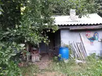 Продажа дачного участка с домом, р-н, Шапеченский сс, СТ Железнодорожник, фотография 5