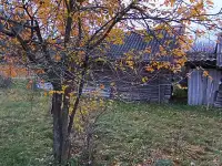 Продам дом, Докшицким район д.Комайск ул.Полевая 16, фотография 8