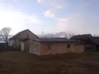 Продам дом, Могилевская область, Дрибинский район, деревня Покутье, фотография 2