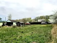 Участок дачный 10 соток Дричин 5 мин от электрички, фотография 4