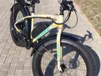 Электровелосипед Fat Bike Ti-Mount FBS 750W, фотография 5