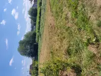 Продажа, Буда, фотография 7