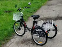 Электровелосипед AVM E-ALFA TRIKE 24, фотография 8