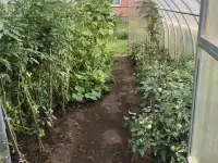 Продам земельный участок, Жемчужненский с/с, Барановичский р-н, Брестская обл. Ж/д Полонка, фотография 3