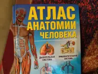 Учебник по анатомии и физиологии для медицинских вузов, фотография 6