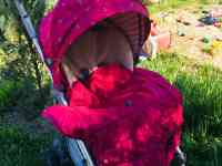 Прогулочная коляска Happy Baby НИКОЛЬ, фотография 4