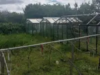 Продам дачный участок в 7 км от Ольшанки Гродно, фотография 10