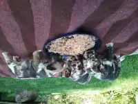 Мальчишки, фотография 3