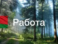 Вальщик леса