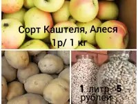 Продам: Фасоль, Картофель, Яблоки! Всё своё, домашнее и вкусное!!!
