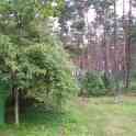Продам дачу, СТ Родничок, Тарусичи, Гродненский район, фотография 4