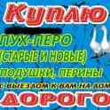 ПРОИЗВОДИМ ПРИЁМ СВЫЕЗДОМ НА ДОМ ПУХА-ПЕРА-ПОДУШКИ-ПЕРИНЫ-новые-б/у (и закупка рогов оленя и лося ), фотография 2