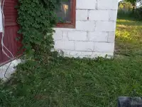 Дом с участком, Гродненская обл, гп. Большая Берестовица, фотография 3
