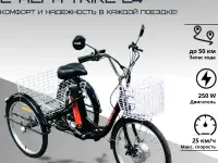 Электровелосипед AVM E-ALFA TRIKE 24