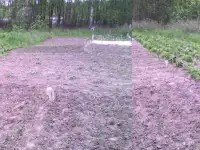 Продаи Дачу Участок 9 сот, фотография 2