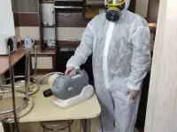 Уничтожение насекомых и грызунов по всей Беларуси, фотография 2