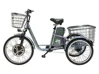 Электровелосипед трицикл e-motions kangoo-ru 500w, фотография 2