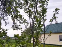Продам Дом, Д.Стоялово, район, Могилёвская обл., фотография 10