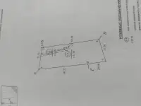 Продам участок с фундаментом, Жилевщина, фотография 5