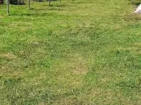 Продажа прекрасного дома, д.Великая Липа, фотография 6