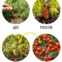 Биоудобрение AgroMax, фотография 2