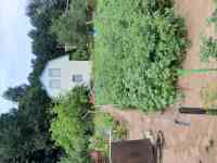 Продам дачу, Биберевка, фотография 3