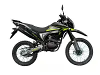 Мотоцикл Regulmoto TE PR 300cc, фотография 4