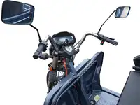 Грузовой электротрицикл rutrike титан next 2000 60v1500w, фотография 4