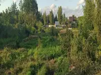 Дачный участок, Петушки Новики, фотография 7