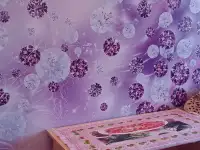 1комн. квартира заочникам и командировочным, Лиможа 32, фотография 4