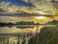 Участок в Беловежской пуще., фотография 7