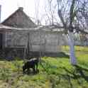Срочно продам дом, ул. Ломоносова д.43, фотография 2